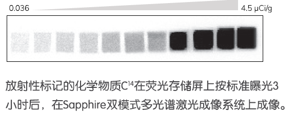 1597658086440301.png image008.png