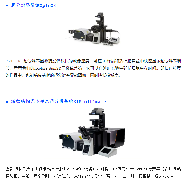 1742539316193818.png image.png